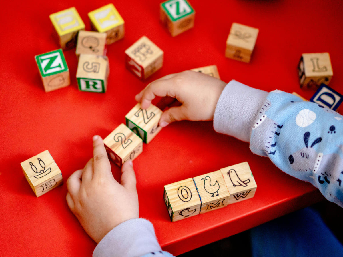 Wellbe Skillbox Early Learner Kit — phonics and number sense activities for ages 4–6
